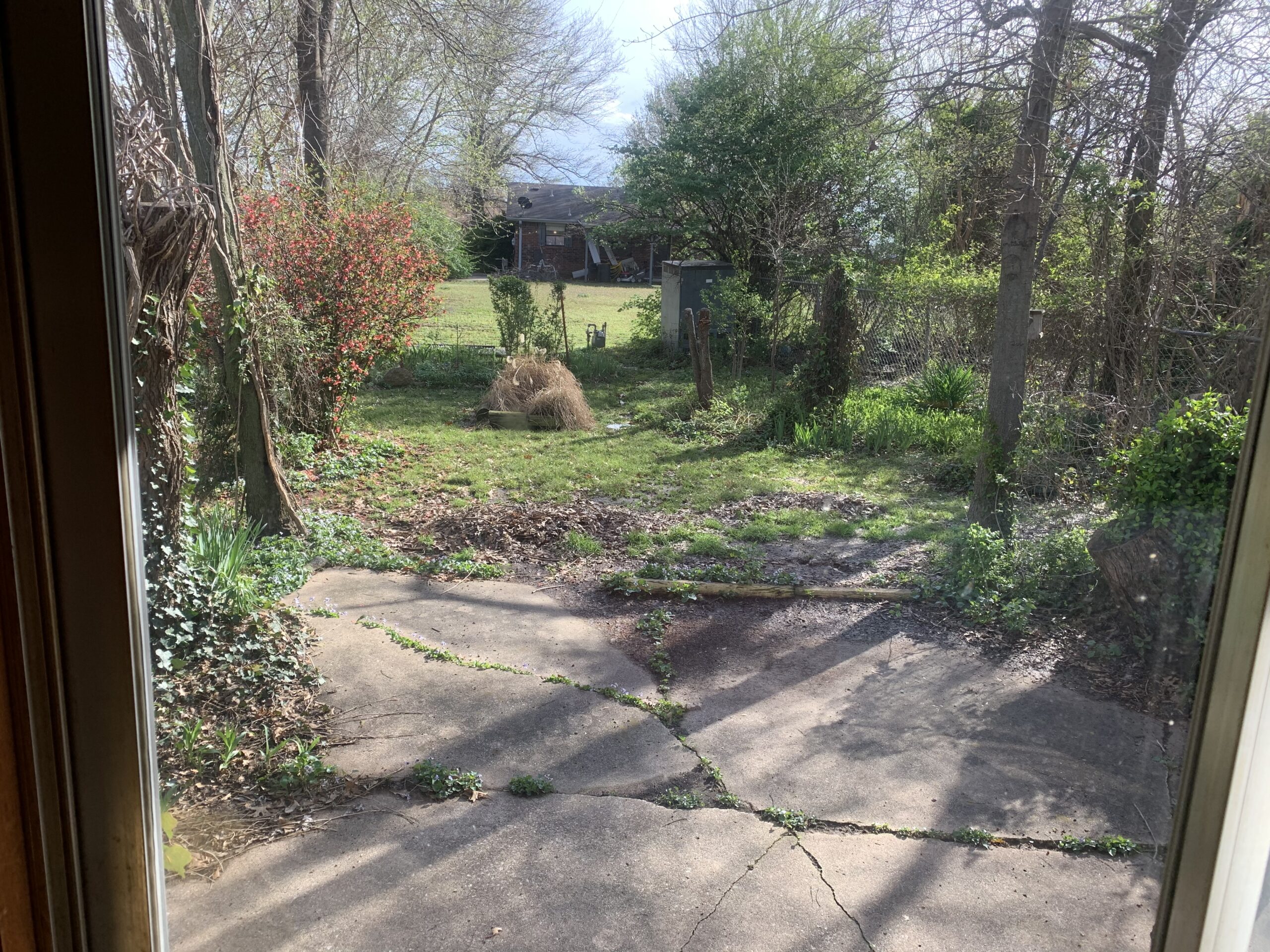 Photo Mar 19, 4 50 41 PM